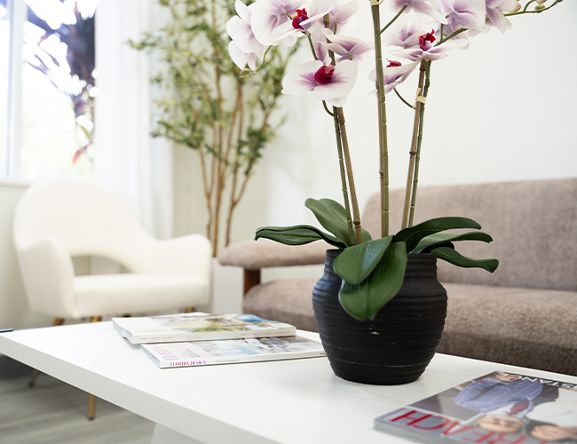 Plants in waiting room at Palm Beach Skin & Hair Restoration in Jupiter, FL